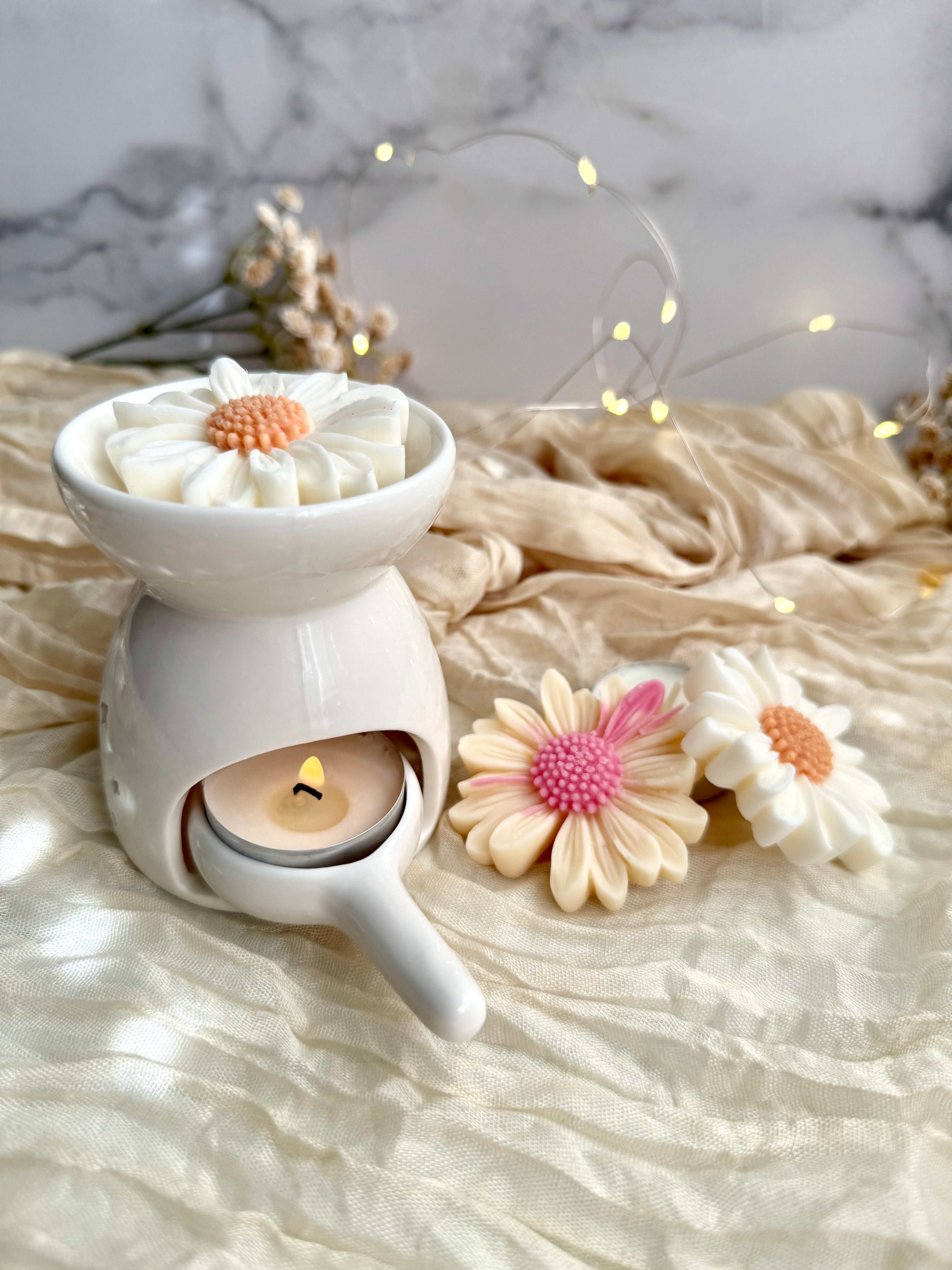 Set Aromático de Quemador y Wax Melts  | Soy Wax Melt Burner Set