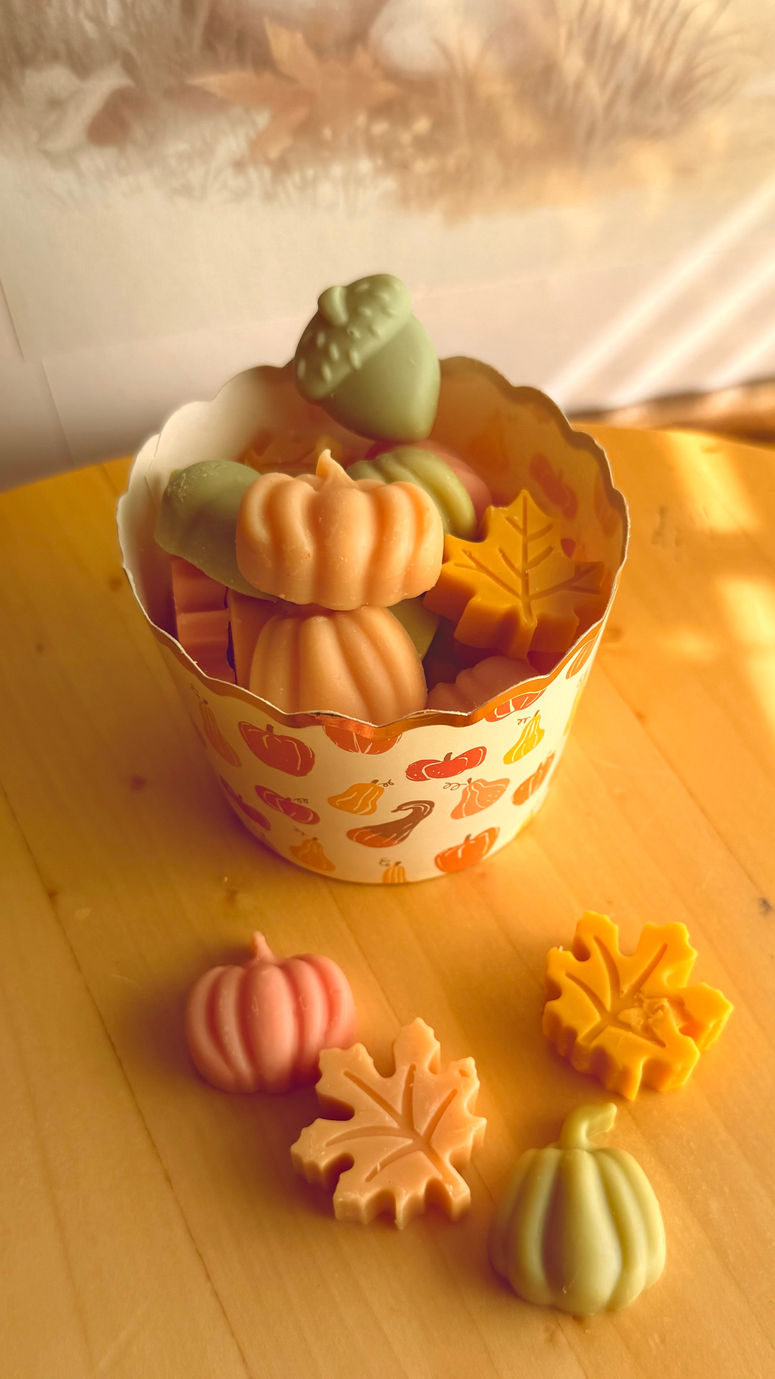 Set de Quemador de Cerámica Calabaza & Wax Melts