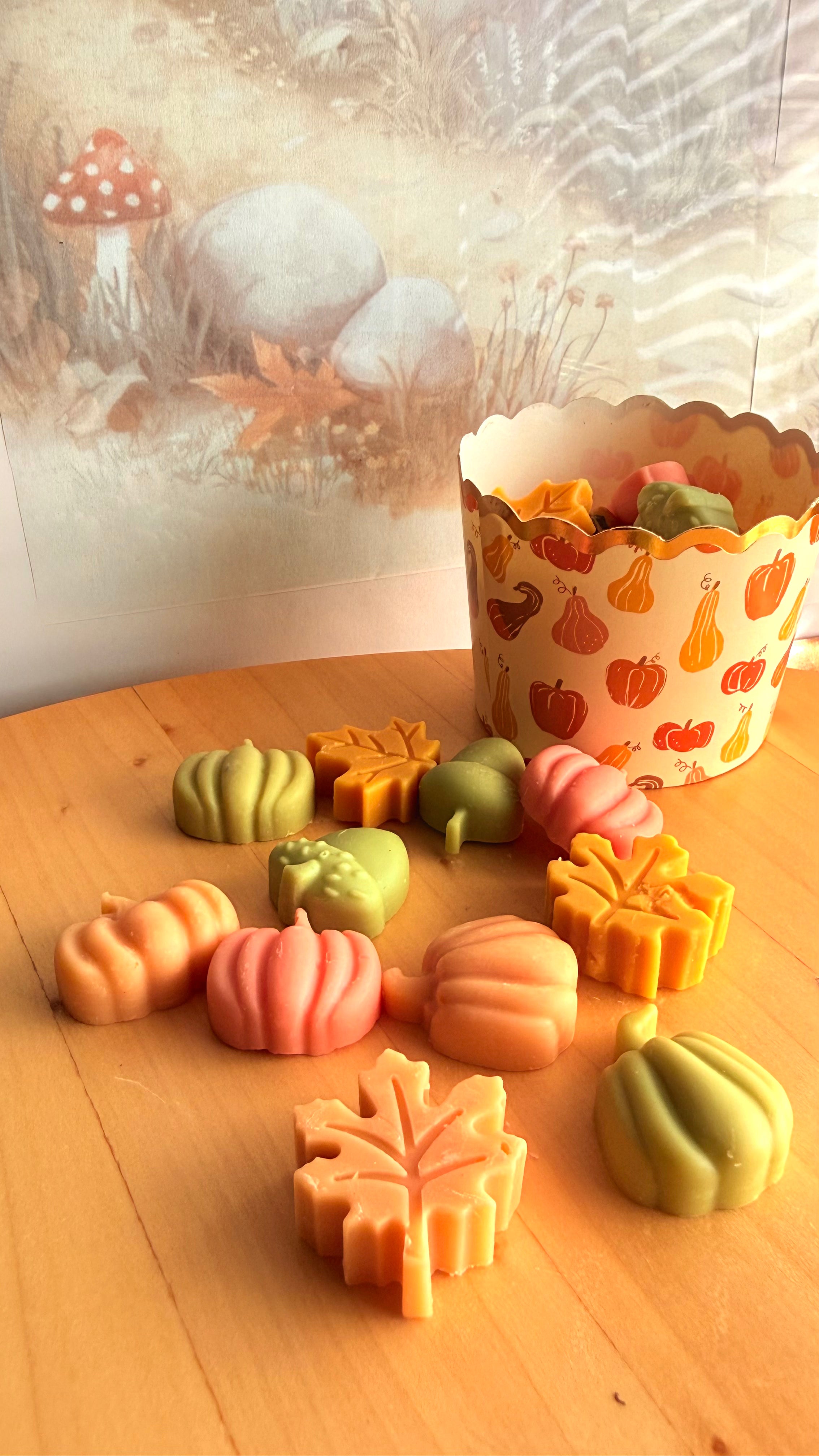 Set de Quemador de Cerámica Calabaza & Wax Melts
